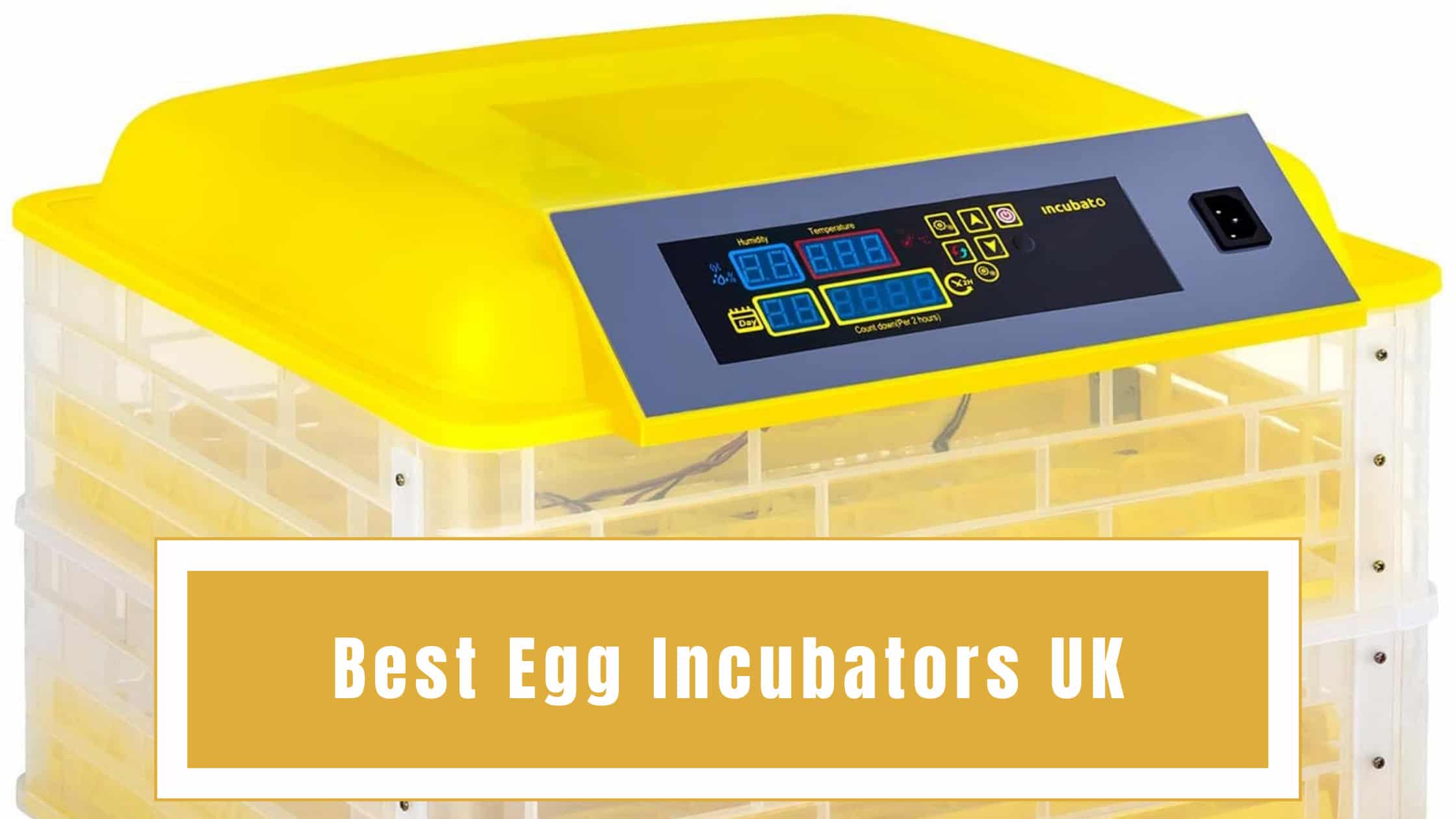 best incubator plans