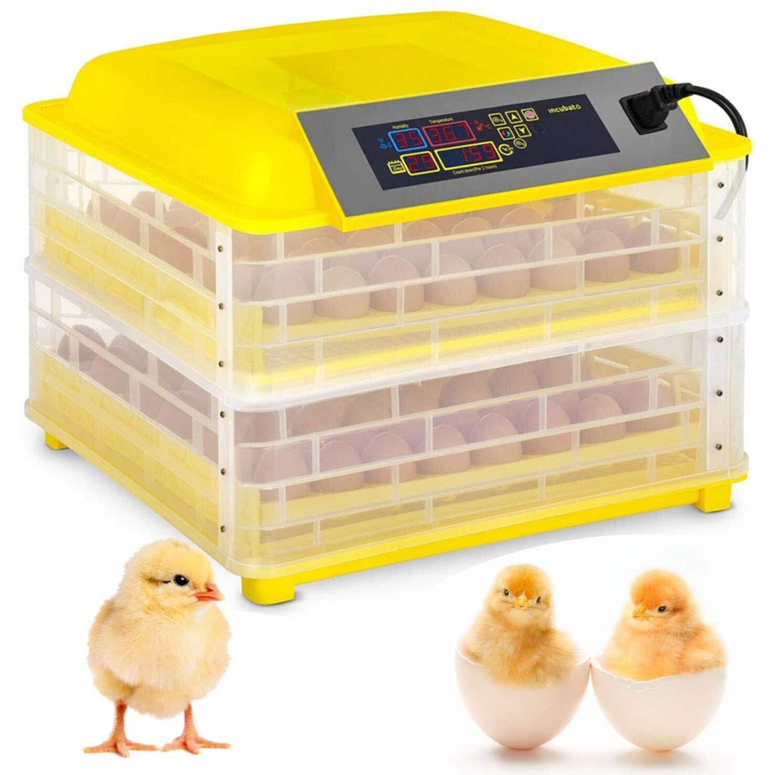 best egg incubator best egg incubator