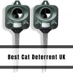 Best Cat Deterrent UK