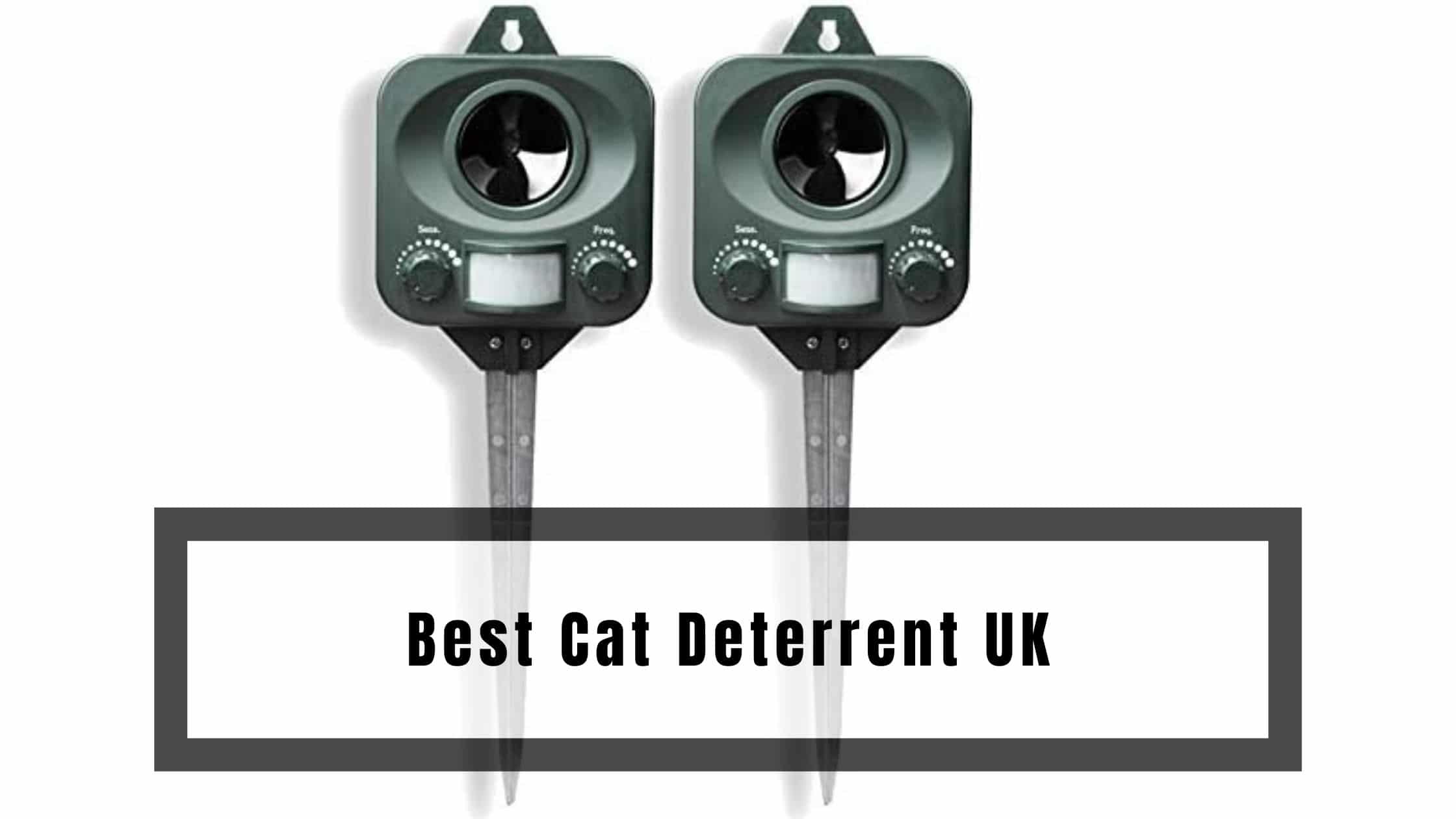 Best Cat Deterrent UK