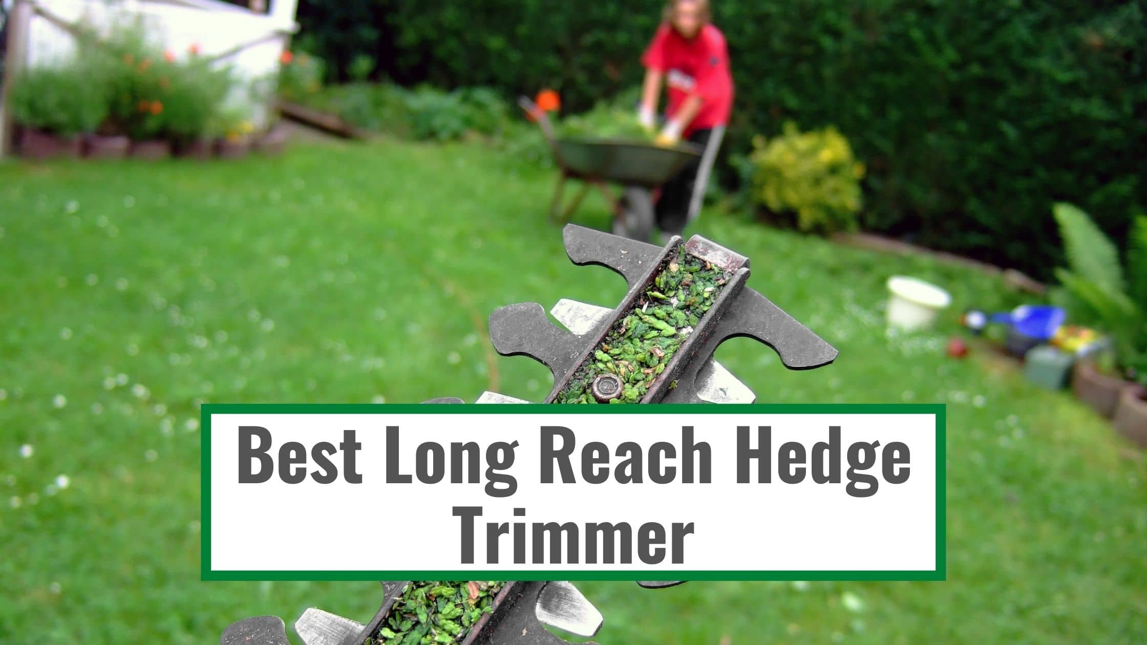 Best Long Reach Hedge Trimmer