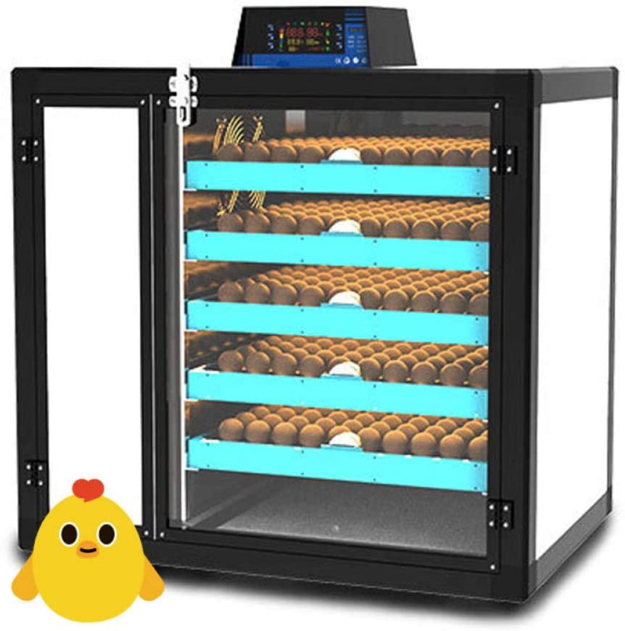 cabinet incubator for eggs