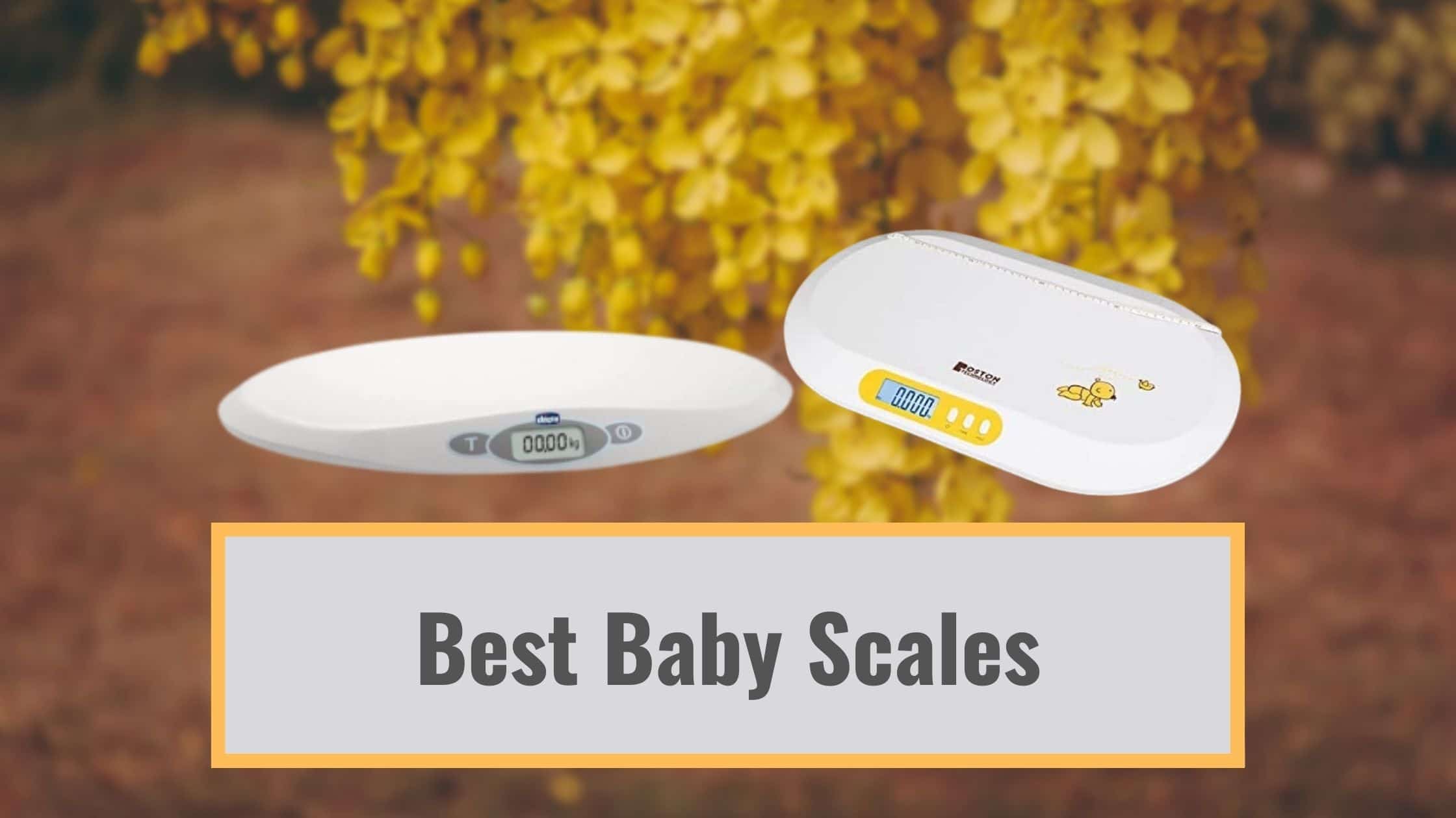Best Baby Scales