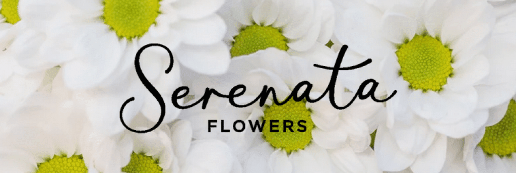 serenata flowers discount codes and voucher deals