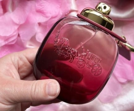 coach wild rose perfume notes